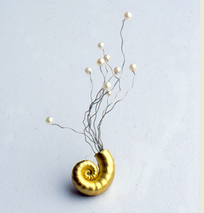 Spirula pin