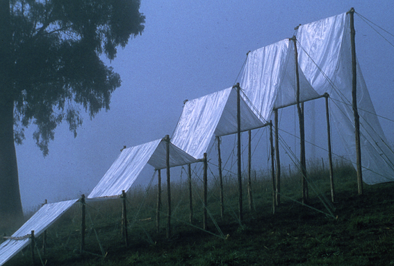 Noojee sculptures