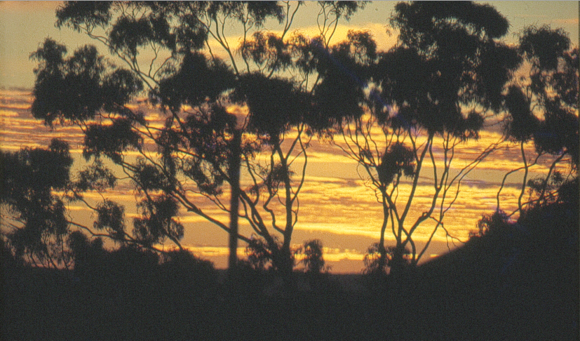 Sunrise Cliff Street