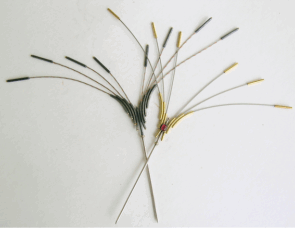 <em>Bird of Paradise - The Birds Series, </em>hairpins, oxidized st. silver, 18ct gold, garnets, 22.0 x 28.0 x 0.7cm no 0617 a & b.