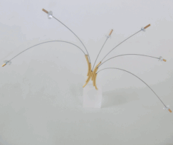 <em>Blue Topaz Flight - The Birds, pectoral piece on stand,</em> 18ct gold, blue topaz, steel cable on acrylic stand, 12 x 22 x 0.8cm, no 0752.