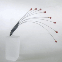 <em>Grevillea eryostachia - Wildflower Collection,</em> brooch, oxidized sterling silver, 18ct gold, carnelian, steel cable on acrylic stand, 8 x 12 x 0.8cm, no 0753b.